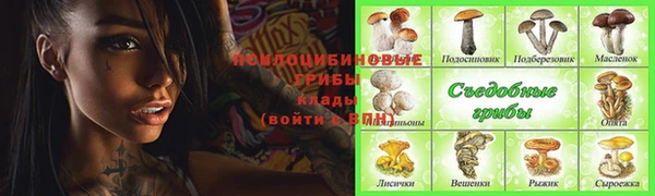 гидропоника Армянск