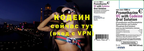 индика Богородск
