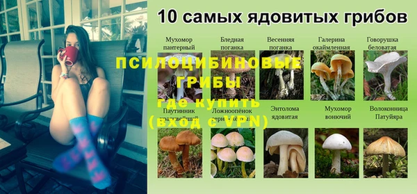 экстази Арсеньев
